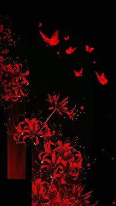 Hình nền hoa bỉ ngạn đỏ rực rỡ
