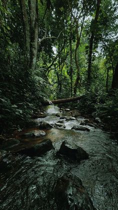 Hình nền thiên nhiên đẹp