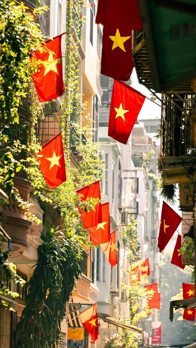 Hình nền lá cờ đỏ sao vàng Việt Nam thể hiện lòng yêu nước