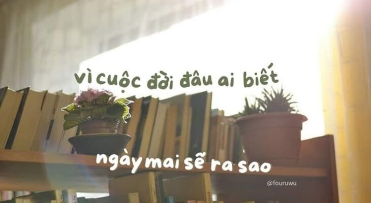Top hình nền máy tính đẹp, sắc nét có lượt tải về nhiều nhất