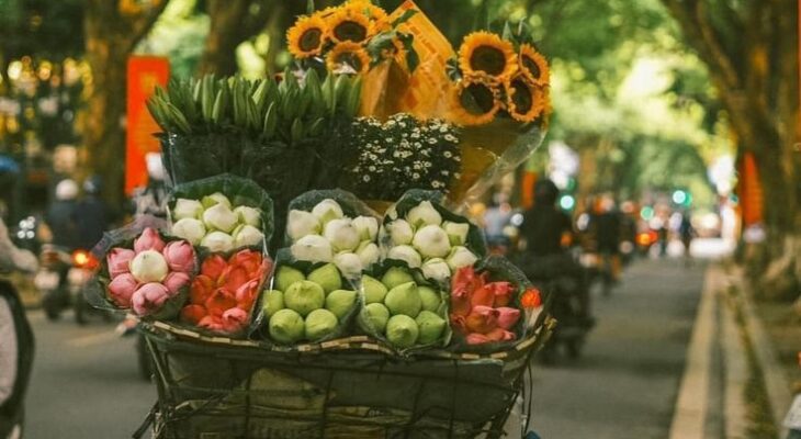 Ngắm Nhìn Những Khoảnh Khắc Đẹp Với Hình Nền Xe Đạp Hoa