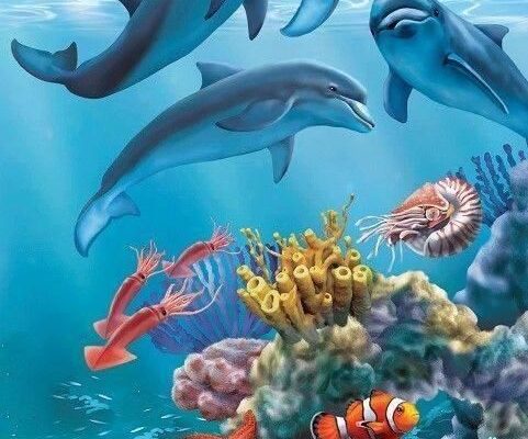 Hình nền cá heo đại dương tải về máy miễn phí