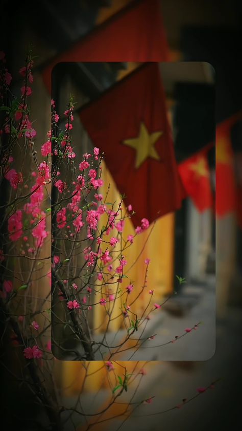 Hình nền lá cờ đỏ sao vàng Việt Nam thể hiện lòng yêu nước