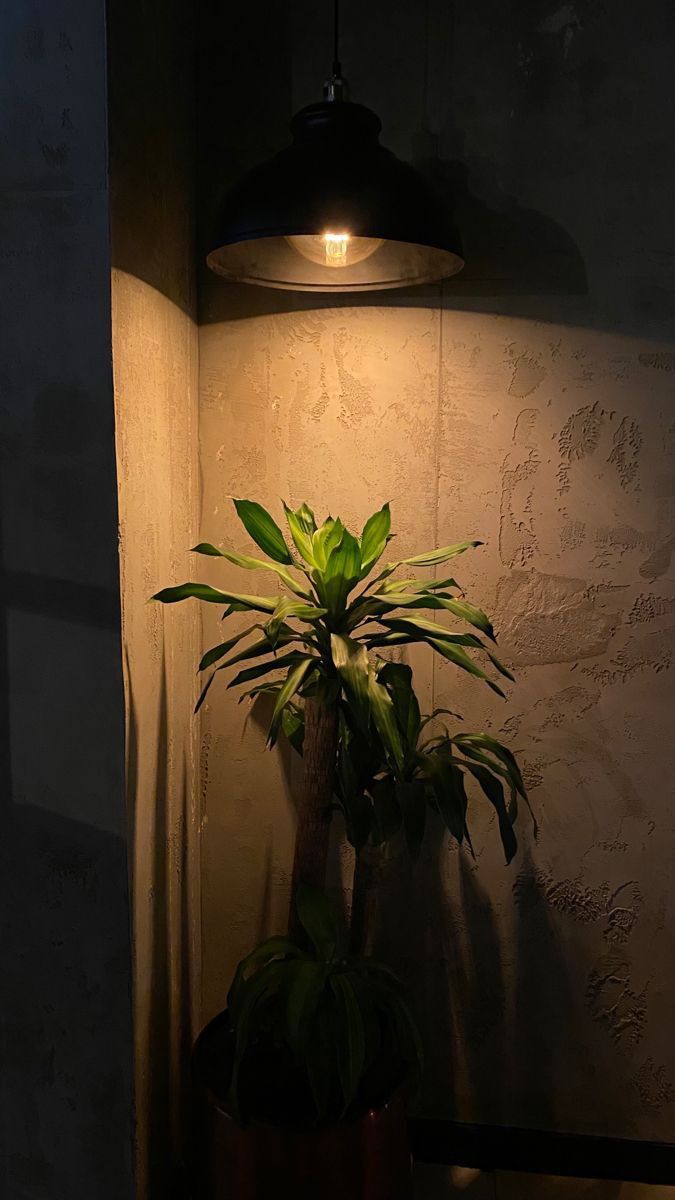 Thư giãn cùng bộ sưu tập hình nền chill chill, đẹp mắt