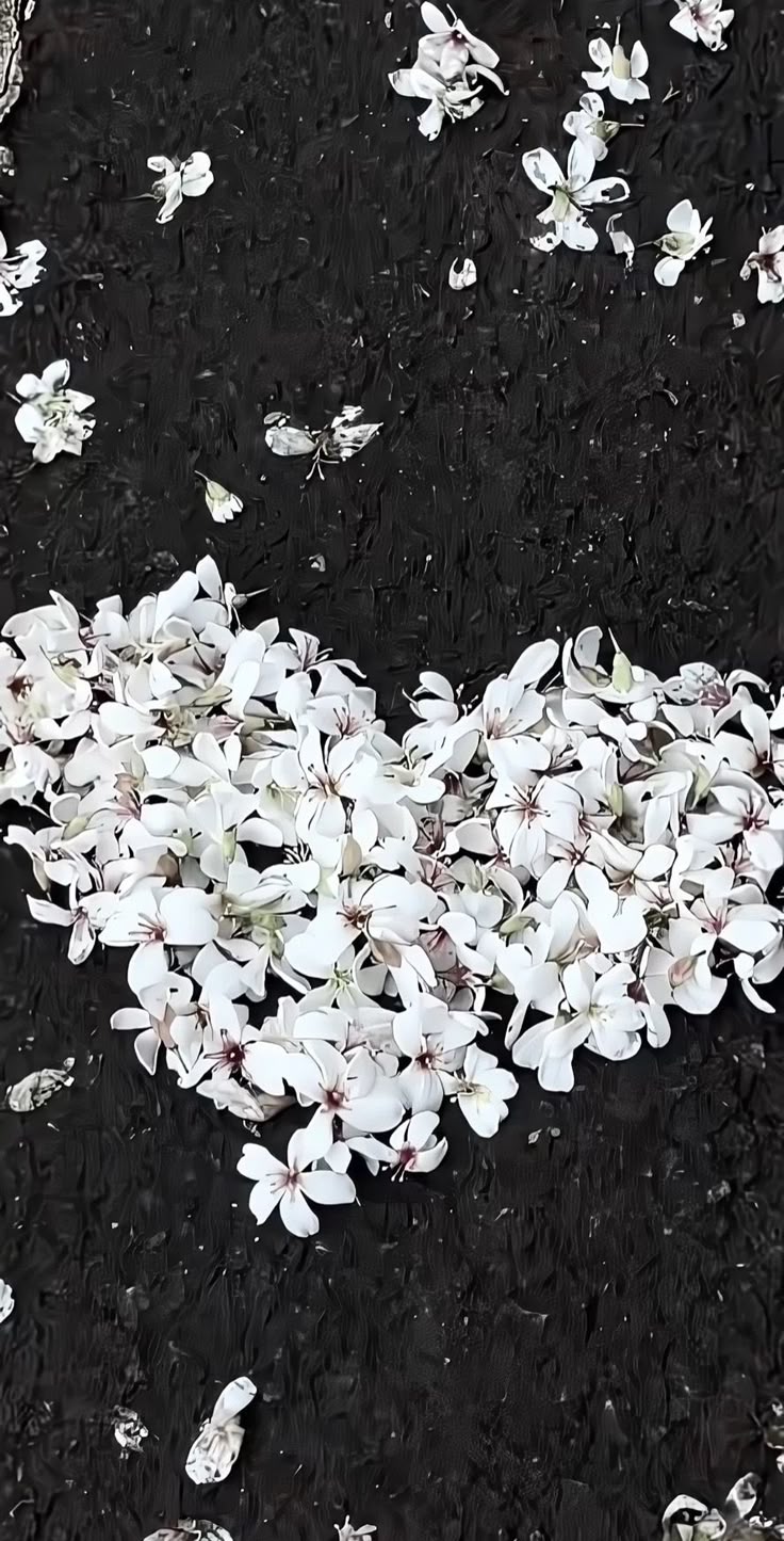 Bộ sưu tập hình nền đẹp mê mẩn, không rời khỏi mắt