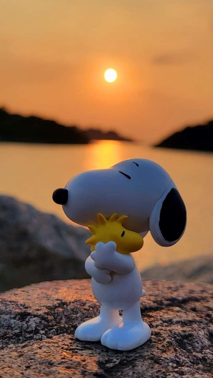 Hình nền cậu bé Snoopy với loạt biểu cảm siêu đáng yêu